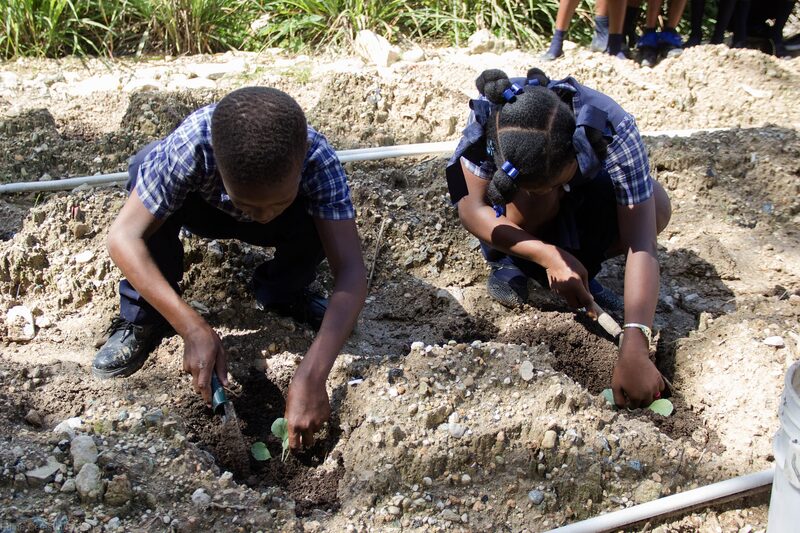 FOKAL (Fondation Connaissance et Liberté) — Haiti
