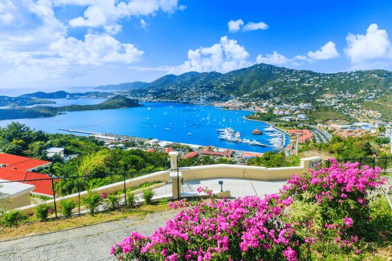 Dental 360 — US Virgin Islands