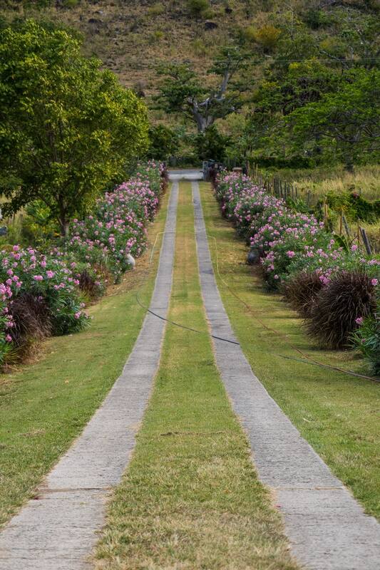Golden Grove Farm — Sint Maarten