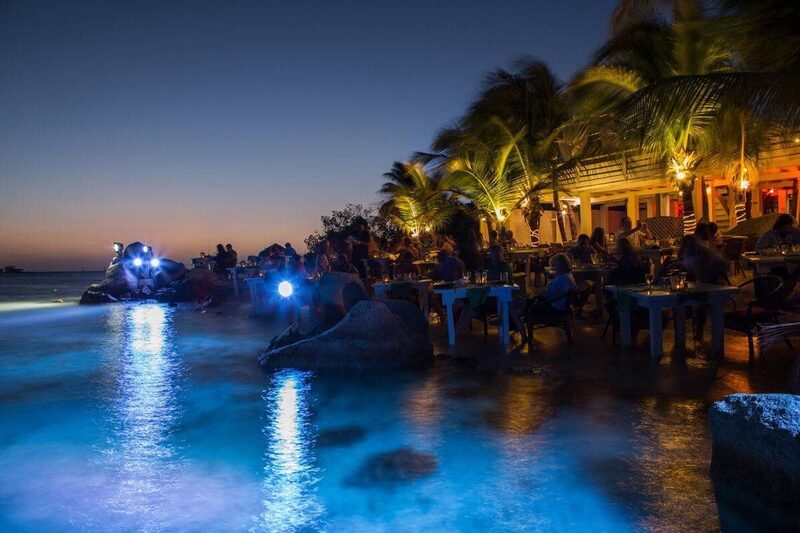 Flying Fishbone — Aruba