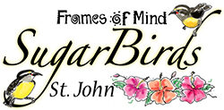 SugarBirds — US Virgin Islands