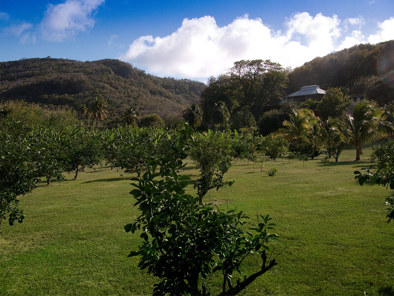 Firefly Plantation Bequia — St Vincent & the Grenadines