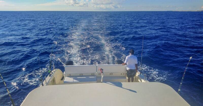Coconut Reef Excursions — Simpson Bay