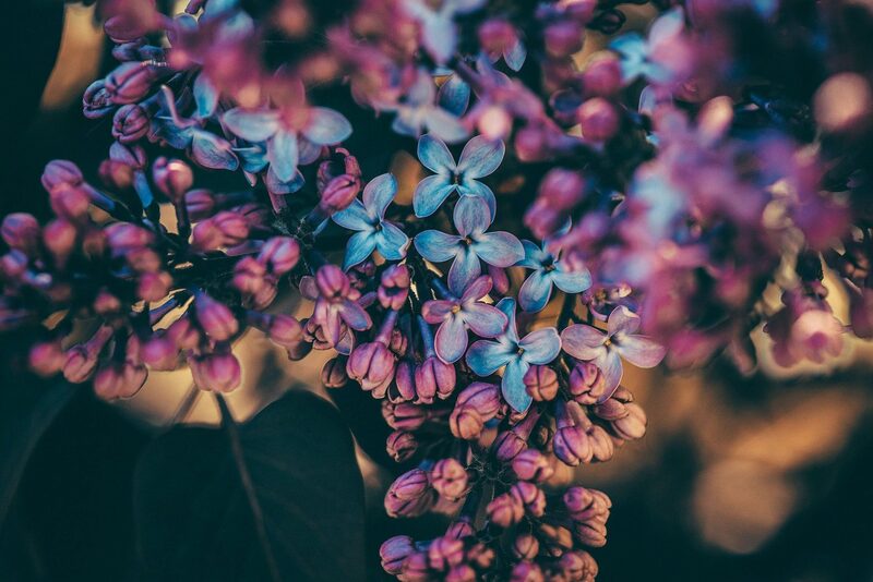 Tranquil Therapy — Trinidad & Tobago