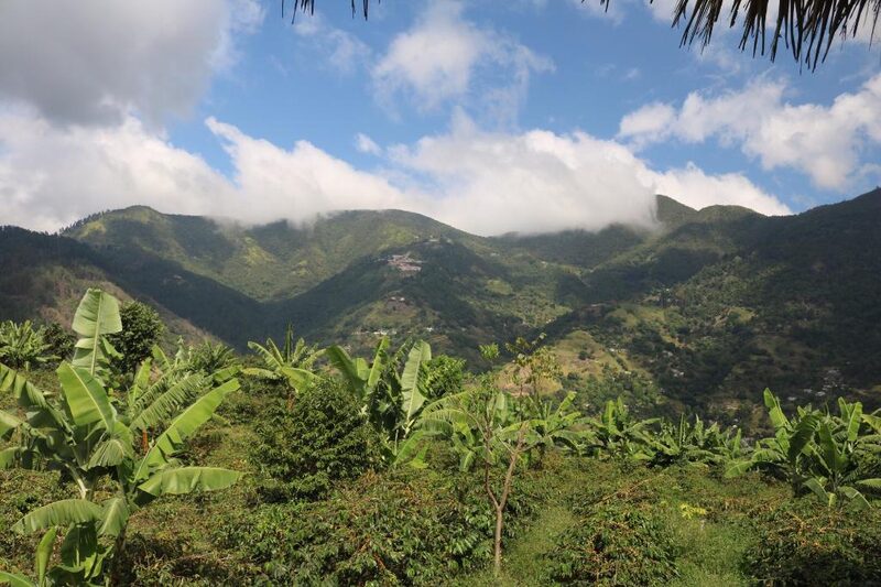 Craighton Estate (Blue Mountains) — Jamaica