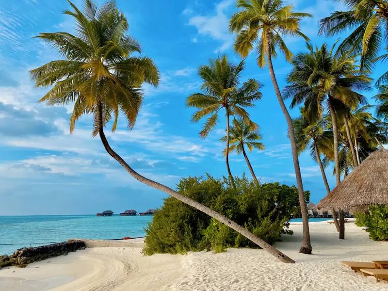 SXM Transfer Pro — Saint-Martin