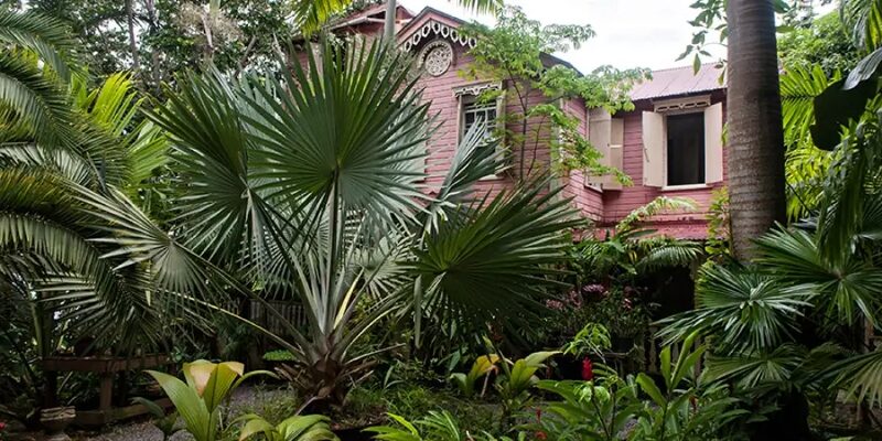 The Pink Plantation House — St Lucia