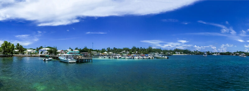 Dive Guana — Bahamas
