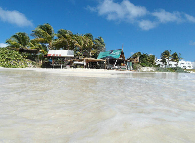 Bankie Banx's Dune Preserve — Saint-Martin / Sint Maarten