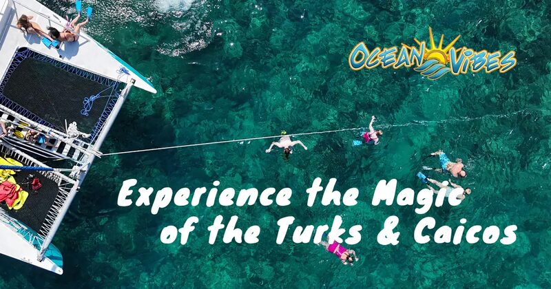 Ocean Vibes Scuba & Watersports — Turks & Caicos