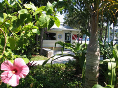 Dive Abaco — Bahamas