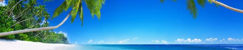 Mr. Kenneth Potts Taxi & Tour Services — Trinidad & Tobago