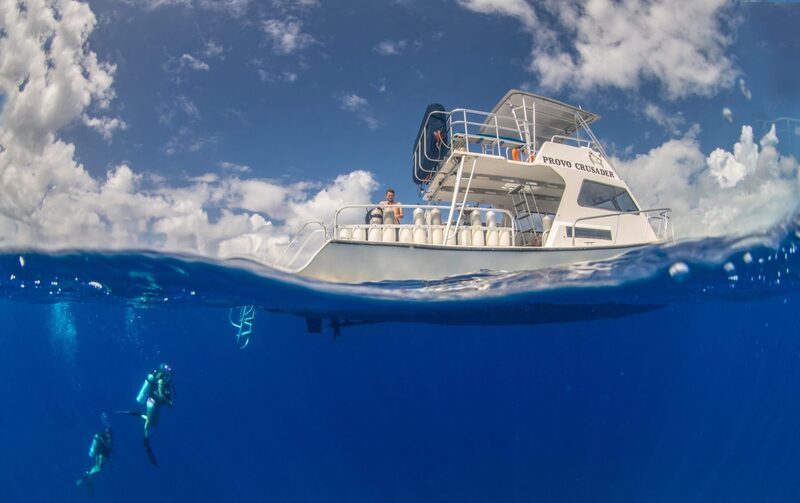 Dive Provo — Turks & Caicos