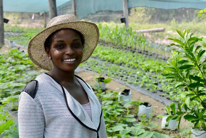 Shola's Organic Farm — Sint Maarten