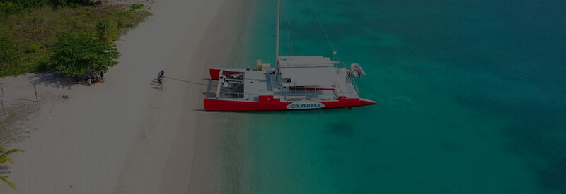 Better in Bahamas (formerly Bahama Divers) — Bahamas