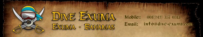 Dive Exuma — Bahamas