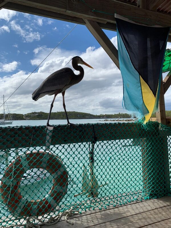 Johnston Studios Art Gallery & Foundry — Bahamas