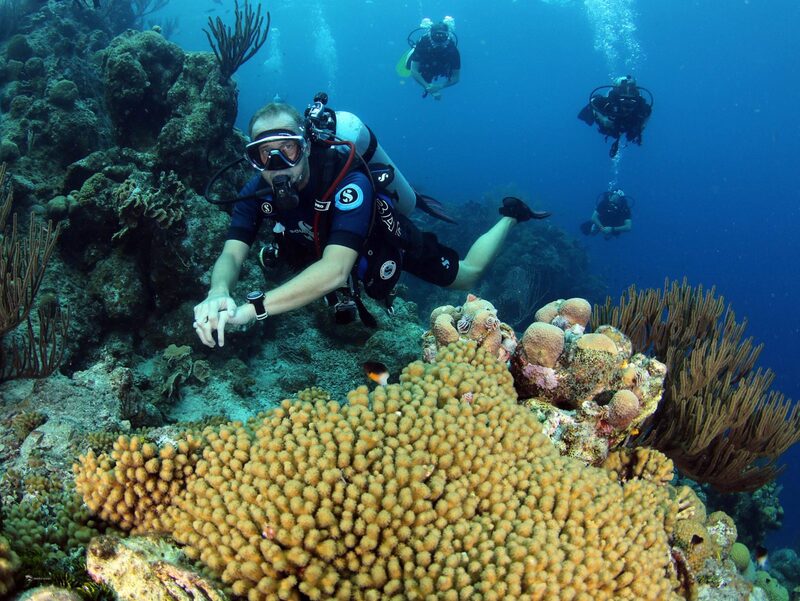 Dive Bus Huur & Experience — Curaçao
