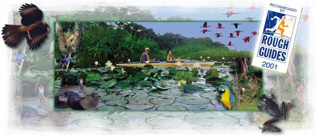 Caribbean Discovery Tours — Trinidad & Tobago
