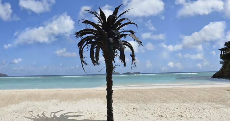 Art Saint Barth (association) — Saint-Barthélemy