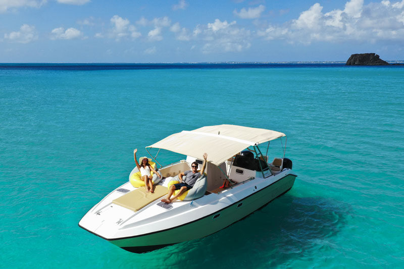 Kiwi 27