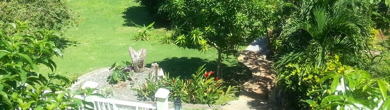 Pimento Lodge Coffee & Spice Farm — Jamaica