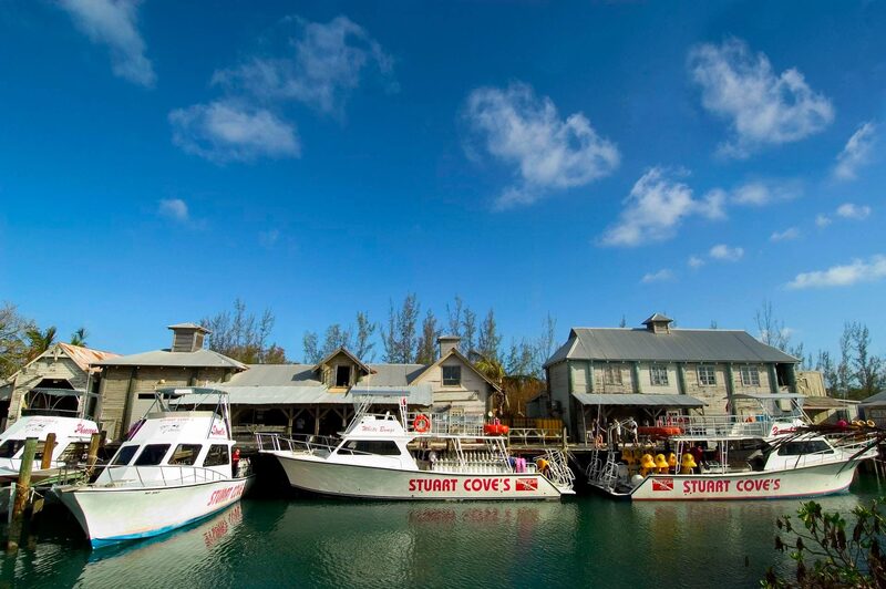 Stuart Cove's Dive Bahamas — Bahamas