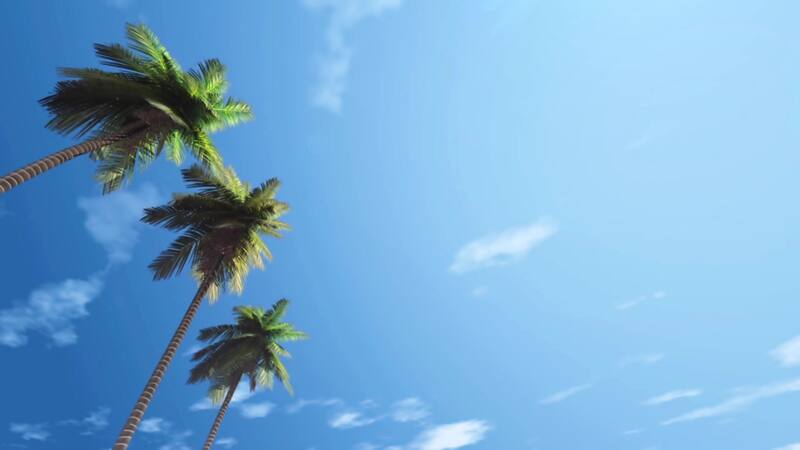 AJA SXM Tours (Alpha Transportation Services) — Sint Maarten