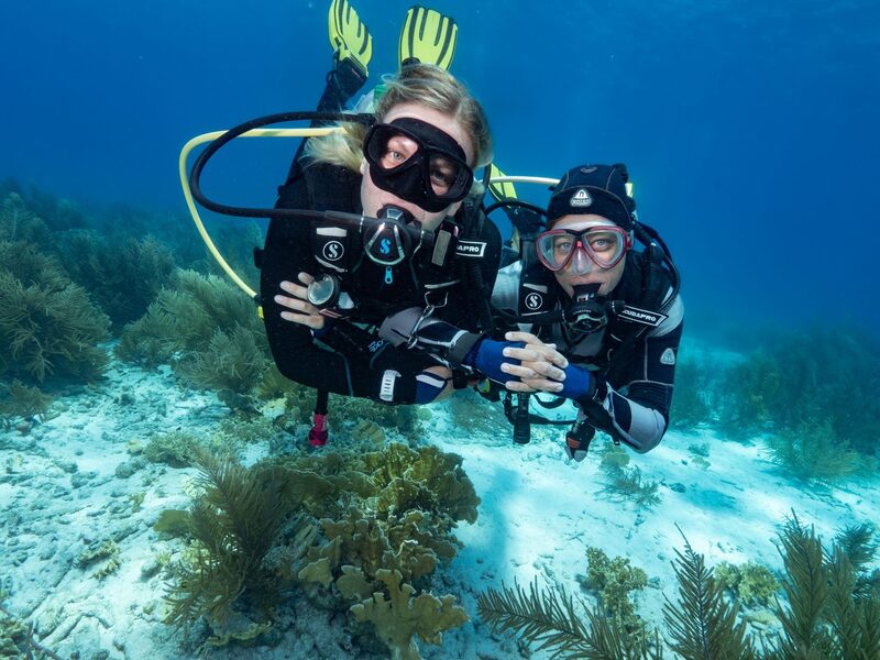 Dive Friends Bonaire — Bonaire