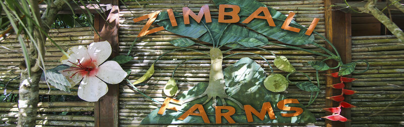 Zimbali's Retreat — Jamaica