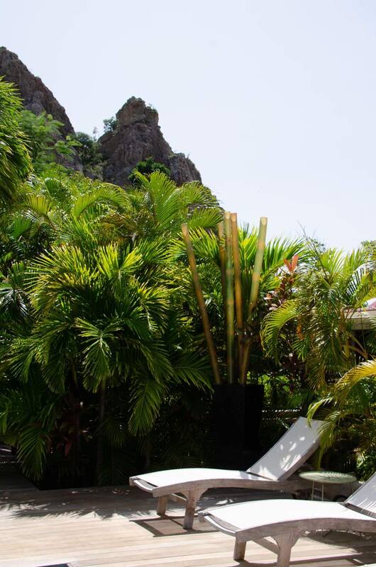 Salines Garden Cottages — Saint-Barthélemy
