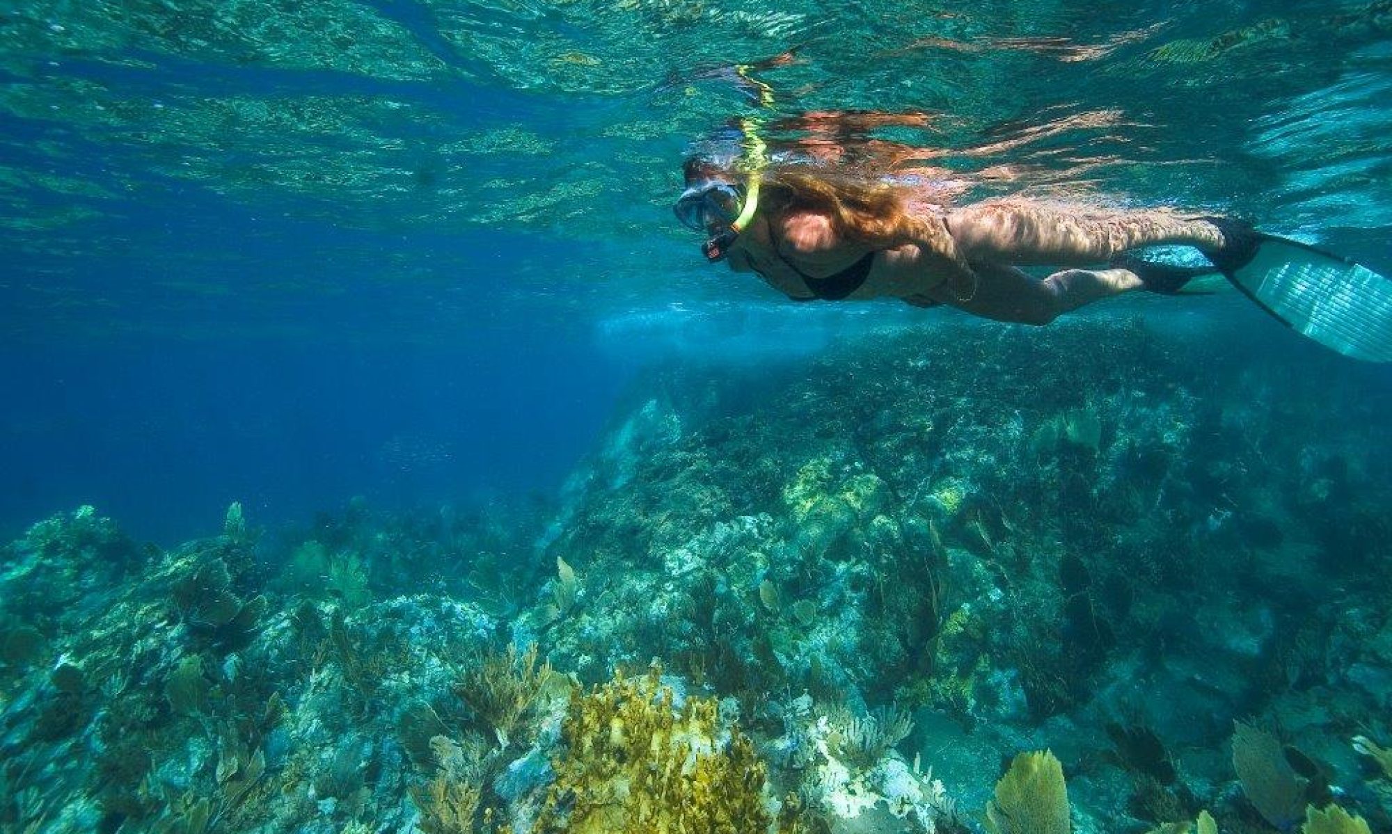 Ouanalao Dive — Saint-Barthélemy