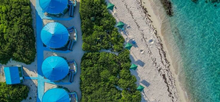 Big Bamboo — British Virgin Islands
