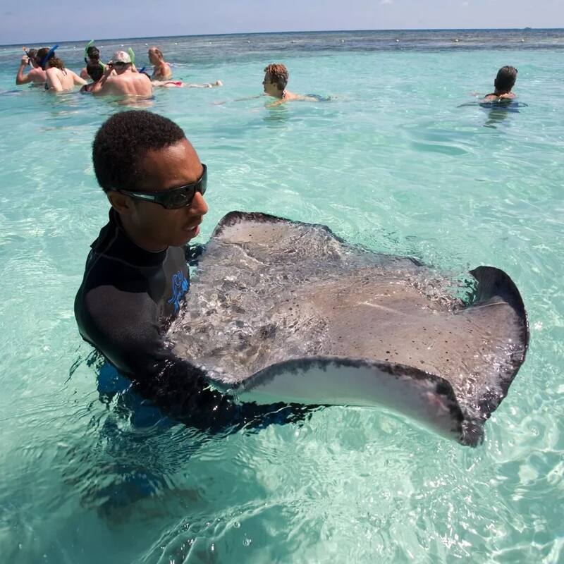 Eagle Discovery Transfers and Tours — Antigua & Barbuda