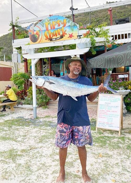 Tipsy Shark — British Virgin Islands