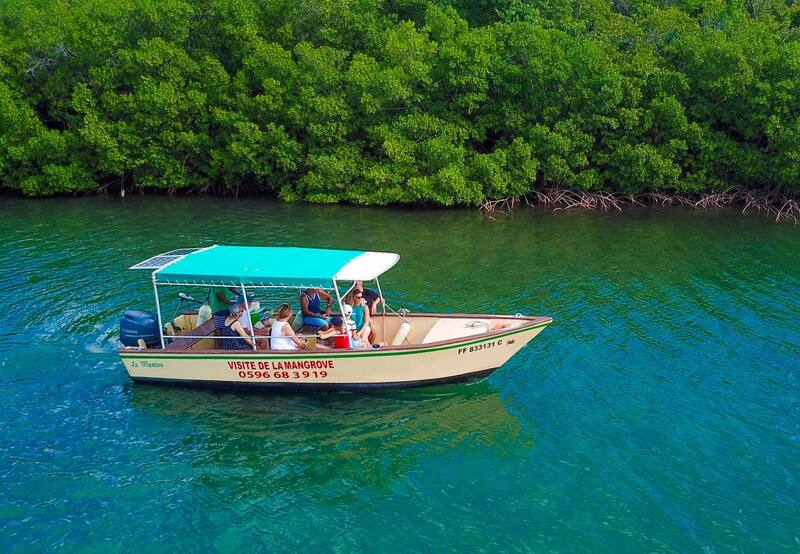 Le Mantou Excursion Mangrove — Martinique