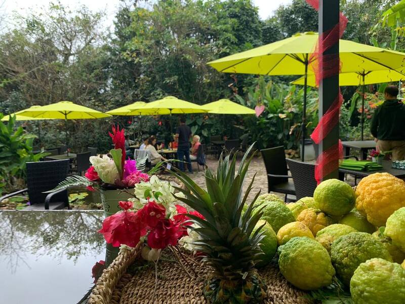 Rendezvous at Ecolodge