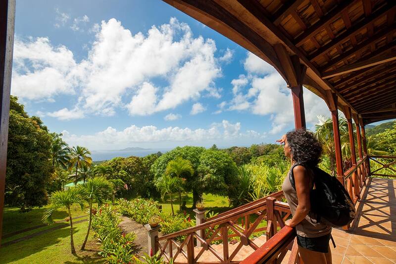 Le Jardin Malanga — Guadeloupe