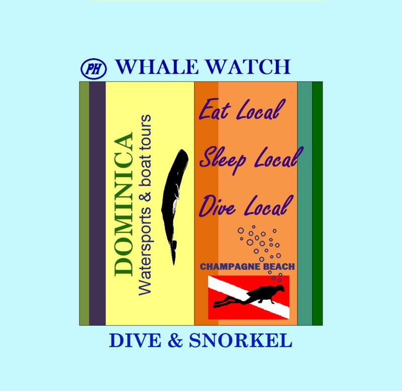 PH Whale Watch Dominica — Saint-Martin / Sint Maarten