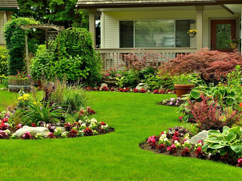 Barbuda Landscaping Company Inc. — Antigua & Barbuda